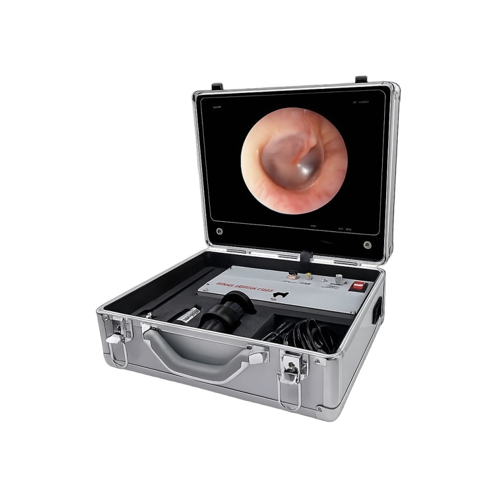 Portable Endoscopy Unit